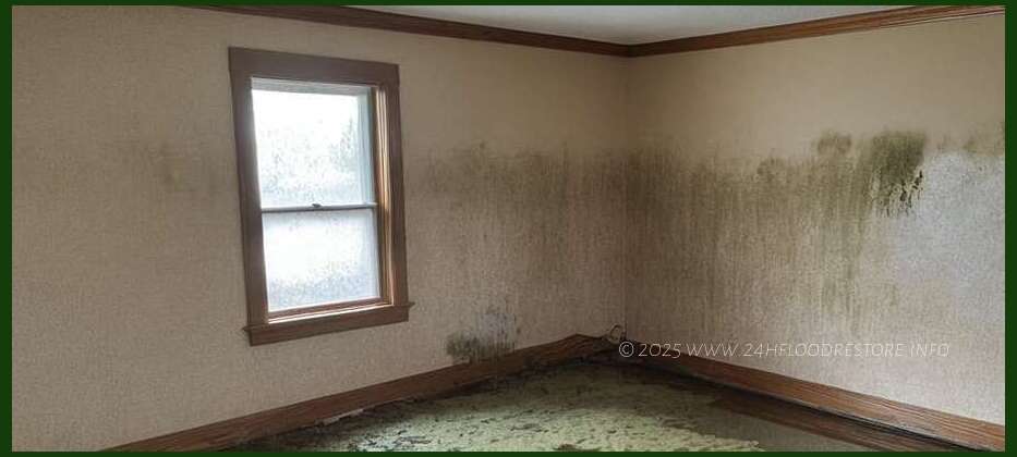 24/7 Emergency Response Team Ready to Handle Any Size Disaster - Flooding Damage Restoration Service